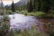 Cottonwood Creek in Colorado