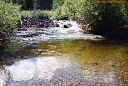 Cottonwood Creek in Colorado