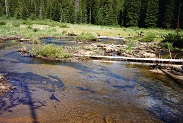 Denny Creek in Colorado