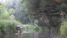 Melancthon Creek, a Wisconsin trout stream in Richland County.