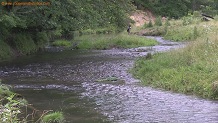 Plum Creek, a Wisconsin trout stream in Crawford County.
