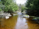 Plover River, a trout stream in East Central Wisconsin.