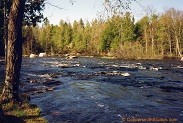 Wolf River, a trout stream in NE Wisconsin.