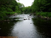 Big Rib River, a trout stream in WC Wisconsin.