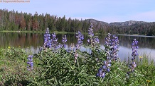 Trail Lake