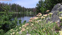 Trail Lake