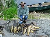 Fish from Beaver Dam River