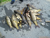 Fish from Beaver Dam River