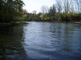 Lower Bark River