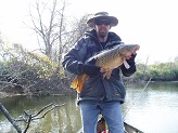 13 pound carp from Bark River