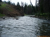 North Fork Shoshone River in Wyoming