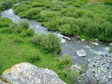 North Fork Tongue River in Wyoming