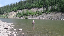 Fishing Kakwa River, Alberta