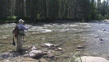 Fishing Wildhay River, Alberta