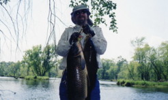 A couple large carp from the Lemonweir River, Wisconsin.