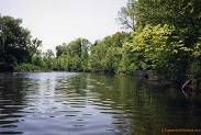 Milwaukee River 