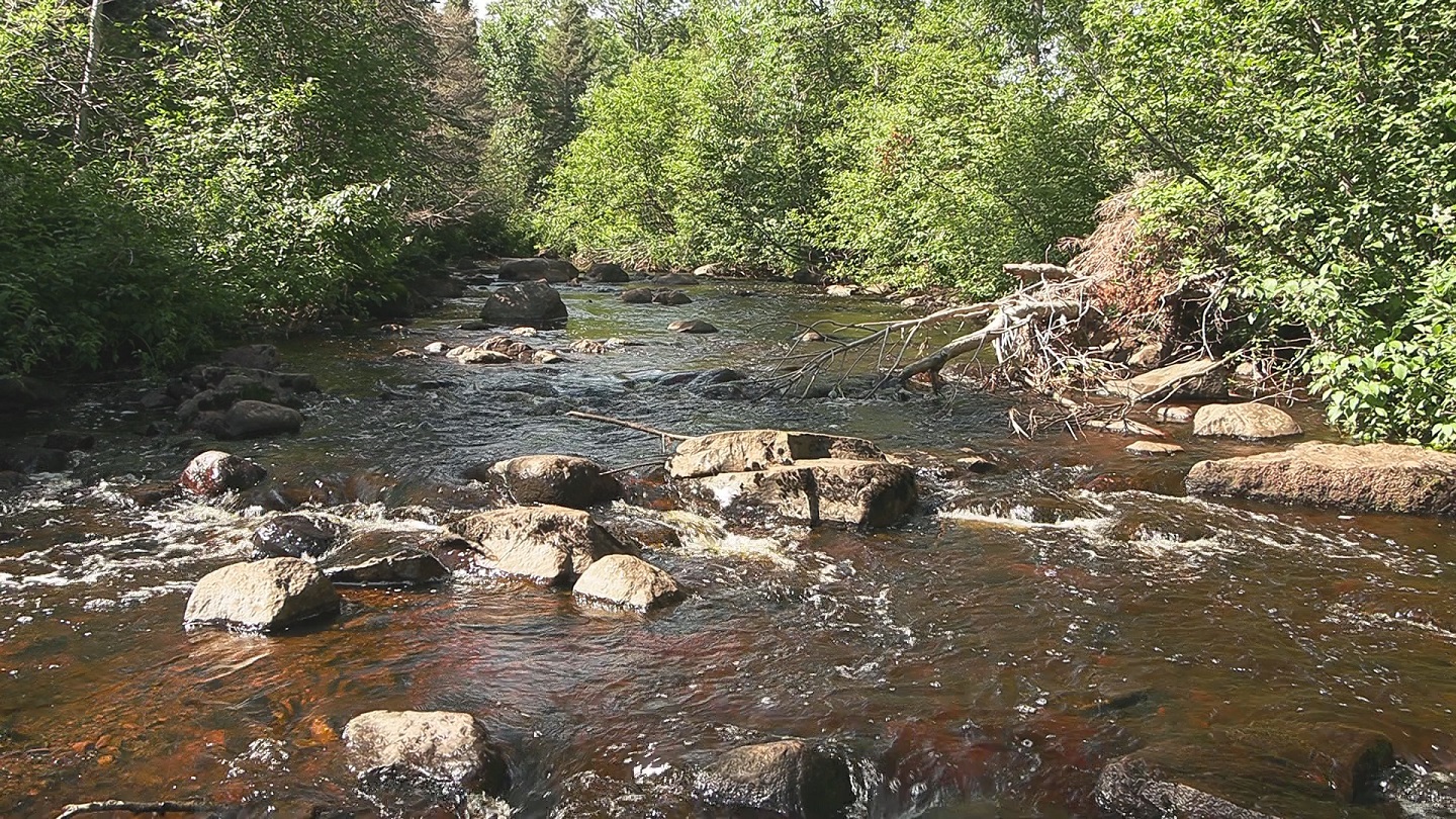 Gooseberry Creek in Minnesota