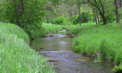 Mormon Coulee Creek, a Wisconsin trout stream