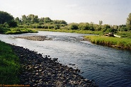 Lower Big Hole River, Montana