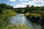 Big Spring Creek, Montana