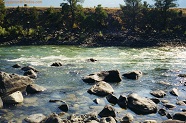 Yellowstone River near McConnel, Montana