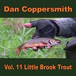 Vol. 11 Little Brook Trout