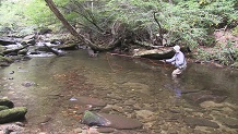 Fishing Lost Cove Creek, North Carolina