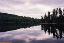Meadow Lake
