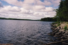 Murdock Lake