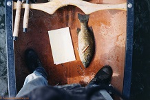 20 inch smallmouth bass