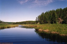 Mudock Lake inlet