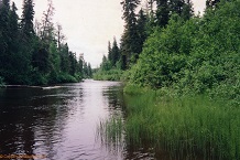 Shetland Creek
