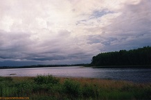 Bay on Ogoki Lake