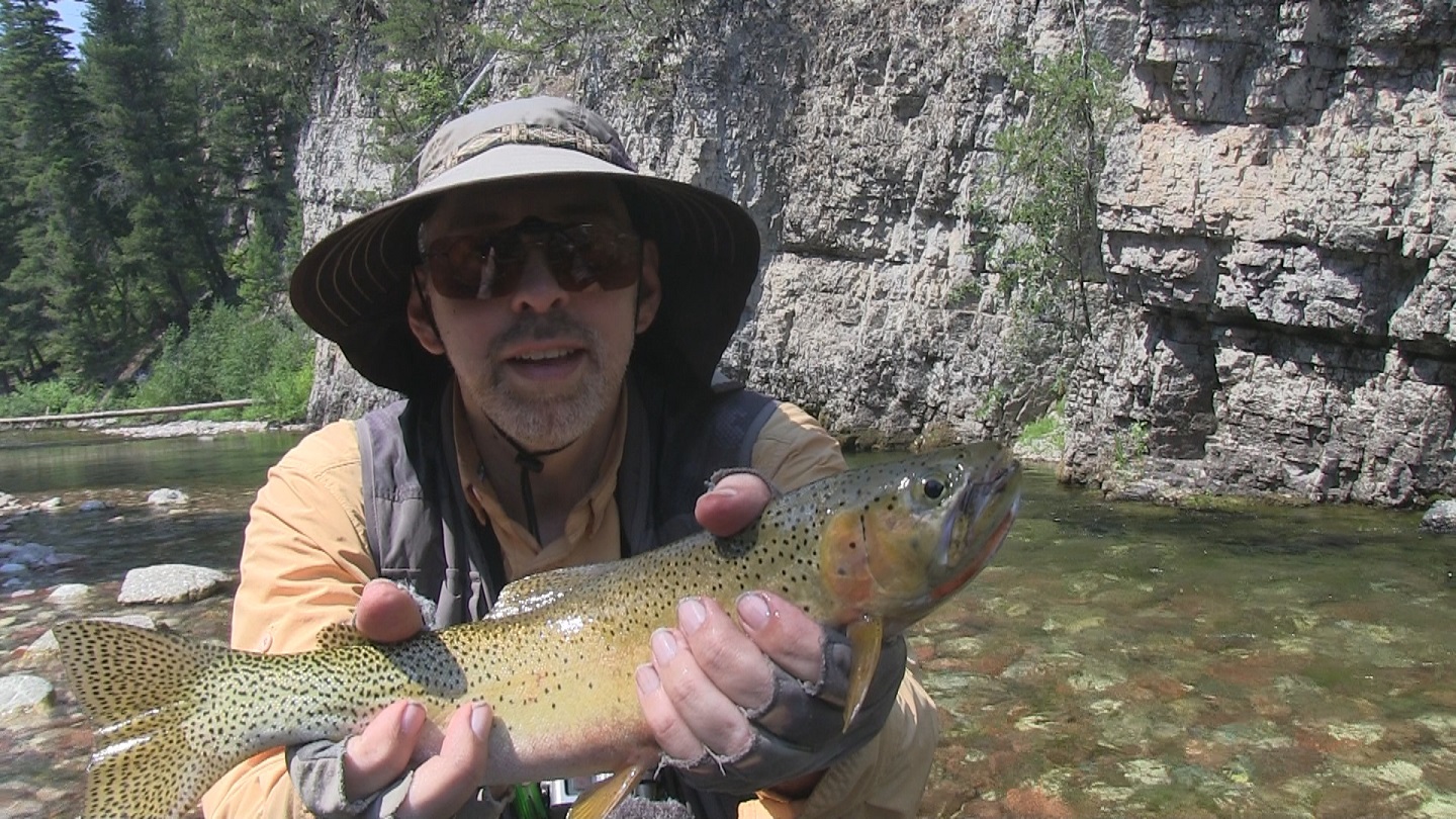 16 inch cutthroat trout from Danaher Creek, Montana