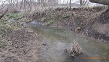 Ash Creek, a Wisconsin trout stream in Richland County.