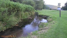 Coe Hollow Creek, a Wisconsin trout stream in Vernon County.