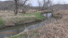 Bear Creek, a Wisconsin trout stream in Richland County.