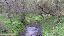 Cooley Creek, a Wisconsin trout stream in Crawford County.