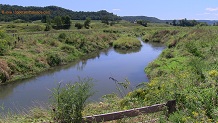 Coon Creek, a Wisconsin trout stream in Richland County.