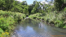 Copper Creek, a Wisconsin trout stream in Crawford County.