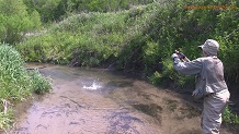 Crow Hollow Creek, a Wisconsin trout stream in Crawford County.
