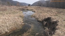 Du Charme Creek, a Wisconsin trout stream in Crawford County.