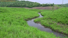 Dutch Creek, a Wisconsin trout stream in La Crosse County.