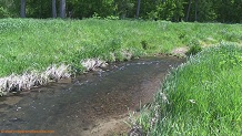 Elk Creek, a Wisconsin trout stream in Vernon County.