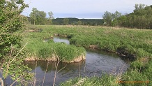 Bishop Creek, a Wisconsin trout stream in Vernon County.