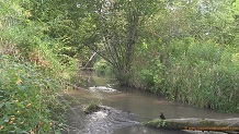 Farmers Valley Creek, a Wisconsin trout stream in Monroe County.
