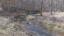Gran Grae Creek, a Wisconsin trout stream in Crawford County.
