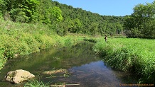 Hornby Creek, a Wisconsin trout stream in Crawford County.