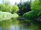 Kickapoo River, a Wisconsin trout stream in Vernon County.