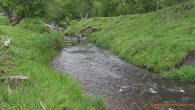 Knapp Creek, a Wisconsin trout stream in Richland County.